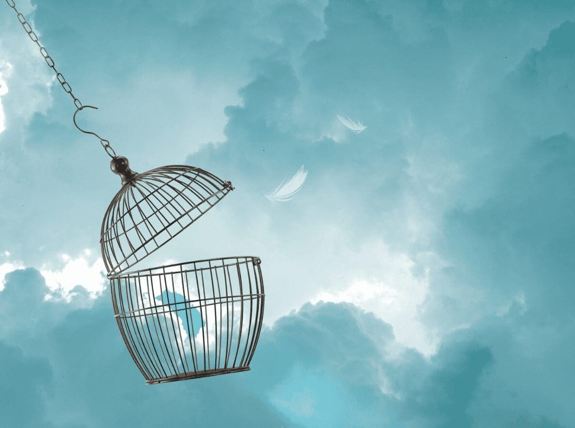Open Birdcage_Inner Freedom Open birdcage with feathers floating upward, representing emotional release, freedom and transformation.